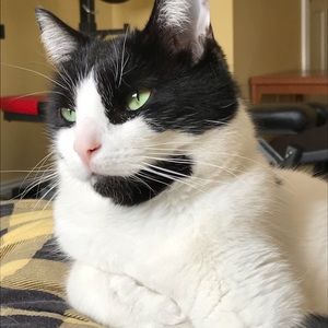 Meet your Posher, Kari